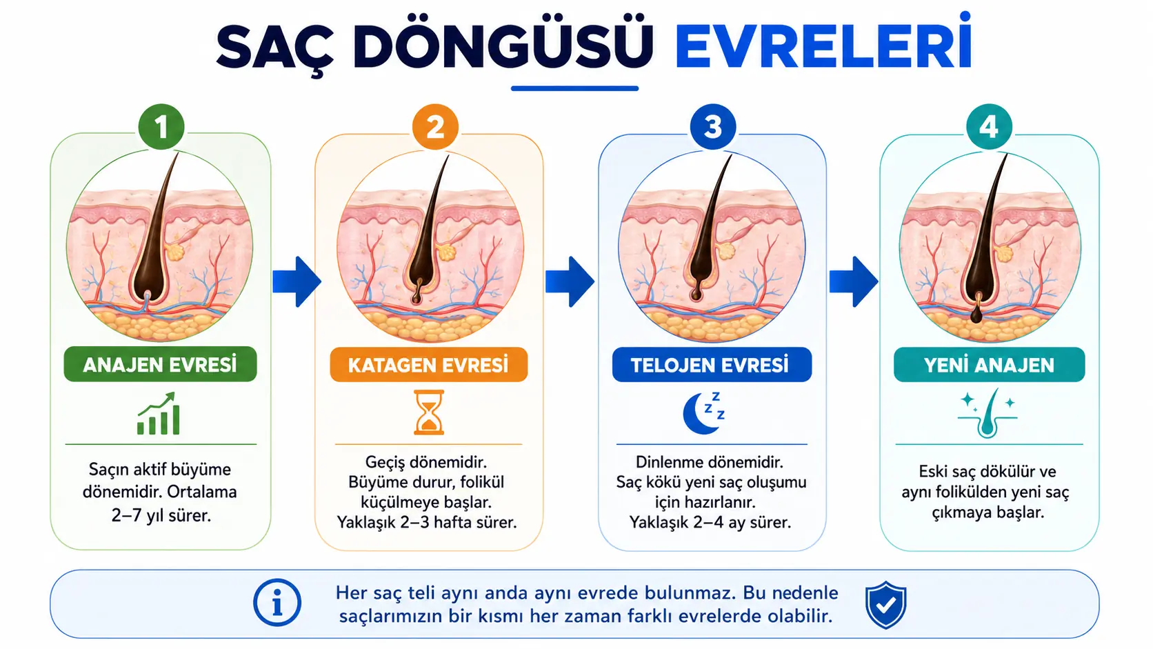 DHT kaynaklı saç dökülmesi